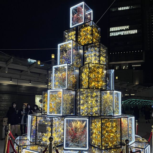【大阪】なんば光旅✨なんばパークス イルミネーション