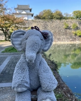 Miss Elly adventure to Osaka Castle.