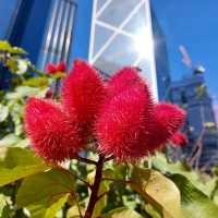 香港公園打卡位
