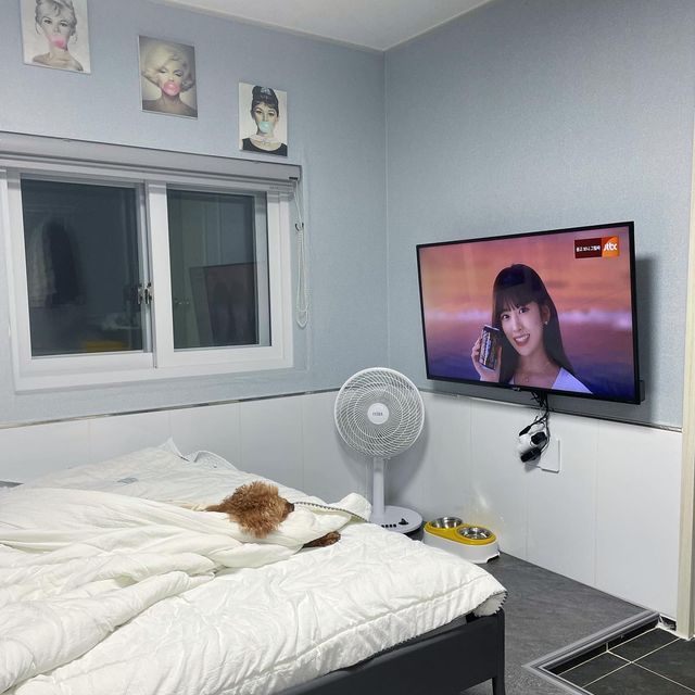 서울에서 가까운 서해로 반려견과 함께 떠나보세요♥️