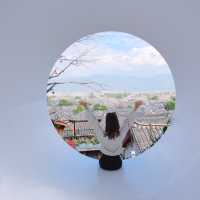 我去雲南麗江，為的只是……