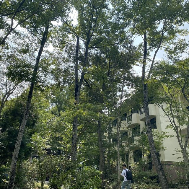 苗栗泰安 湯之島 虎山溫泉會館