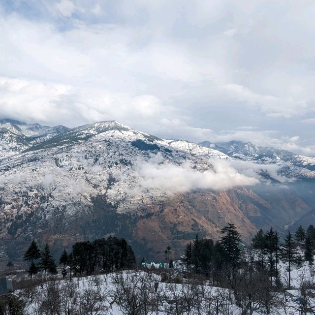 homestays in shimla