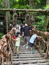 【徳島】秘境の祖谷にあるかずら橋