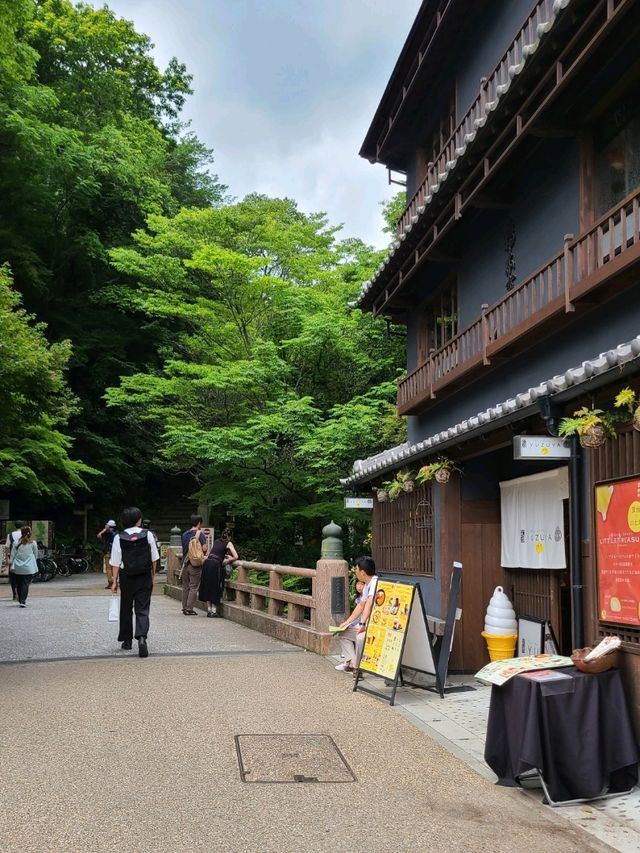 【大阪】滝道を散策をしよう