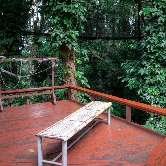 สวนแม่ฟ้าหลวง