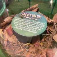 《迷你版生物多樣性博物館在將軍澳》