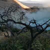 Bromo and Ijen