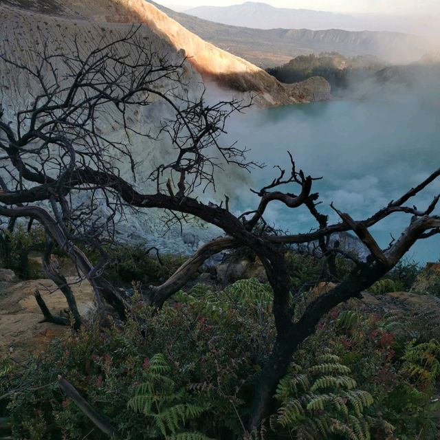 Bromo and Ijen