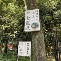 生田神社の生田の森！生田森坐社（いくたのもりにいますやしろ）参拝