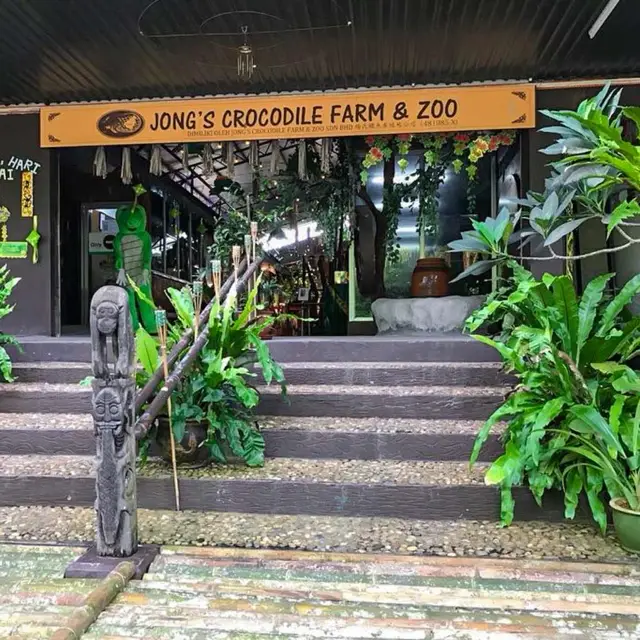 Jong's Crocodile Farm Adventure!