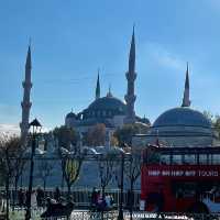 The unique mosque - Blue Mosque