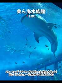 【沖縄】絶対行くべき沖縄本島のおすすめスポット7選