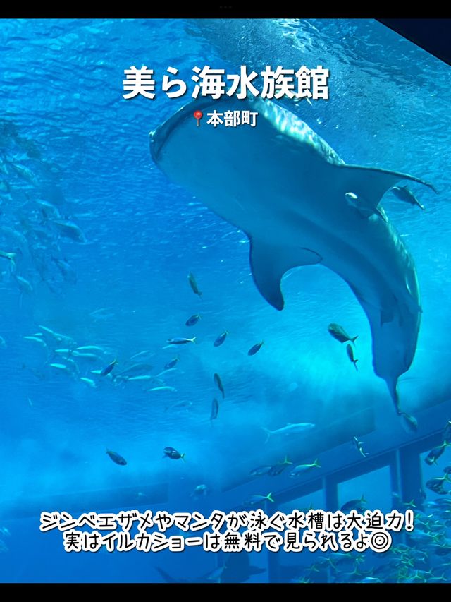 【沖縄】絶対行くべき沖縄本島のおすすめスポット7選