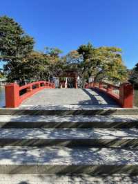 【神奈川県/旗上弁財天社】美しい源氏池に浮かぶ神社