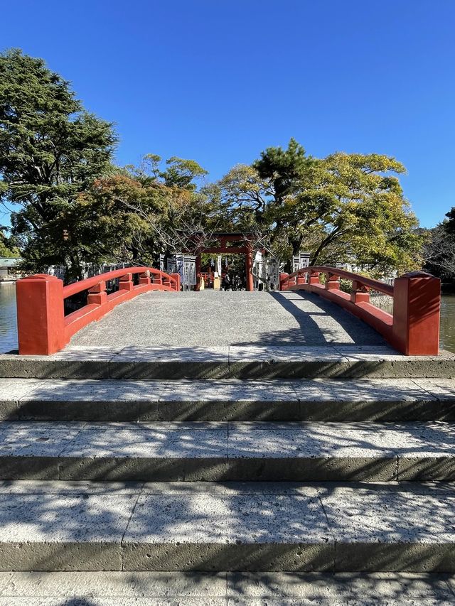 【神奈川県/旗上弁財天社】美しい源氏池に浮かぶ神社