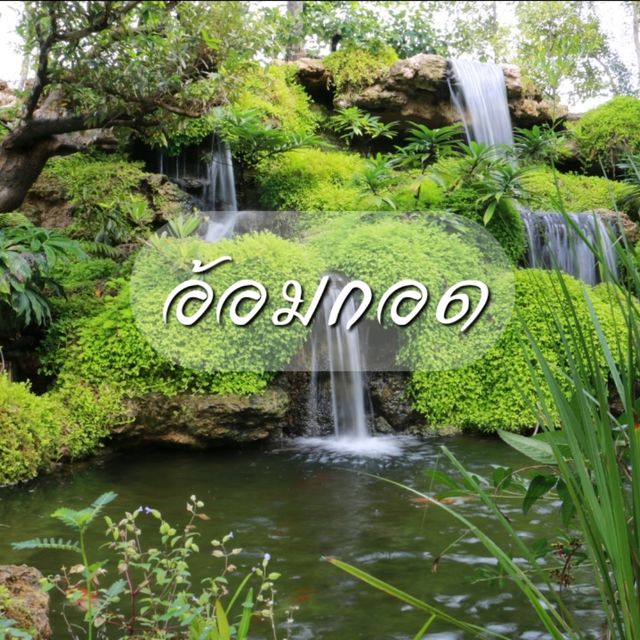 อ้อมกอด คาเฟ่ อัมพวา