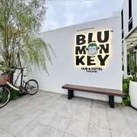 🐒 Blu Monkey Hub & Hotel Ranong  🍌