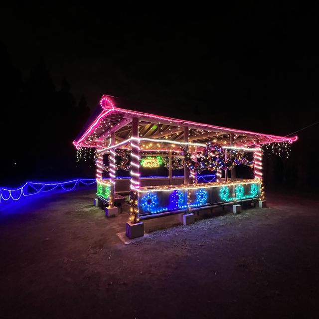 あけぼの山農業公園のクリスマス限定ライトアップ