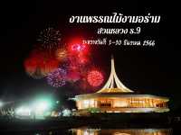 บรยากาศยามค่ำคืน
"งานพรรณไม้งามอร่ามสวนหลวง ร.9 "