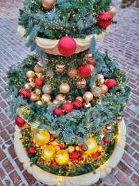 실내트리도 따뜻한 감성 한가득인 거제도 카페🎄✨️