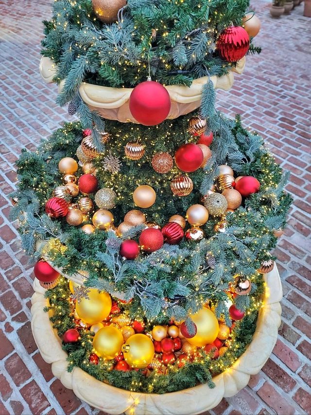 실내트리도 따뜻한 감성 한가득인 거제도 카페🎄✨️