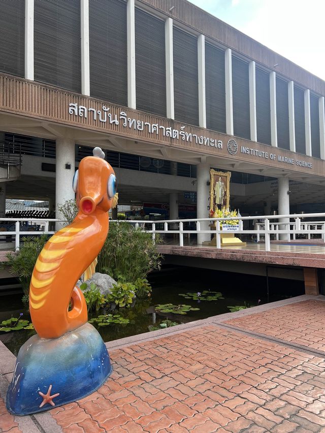 พิพิธภัณฑ์สัตว์น้ำบางแสน ม.บูรพา 🌴