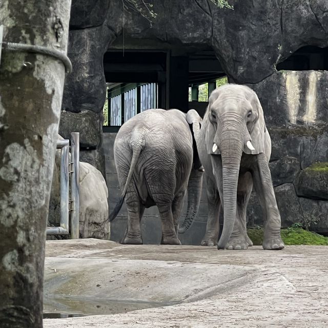 台北市立動物園