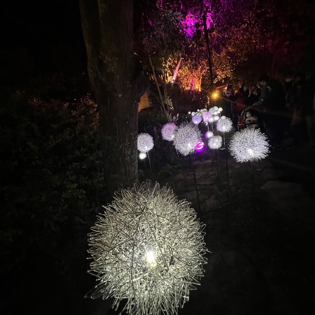 Yuejin Lantern Festival 2023