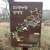 🌿광주호 호수생태원🌿