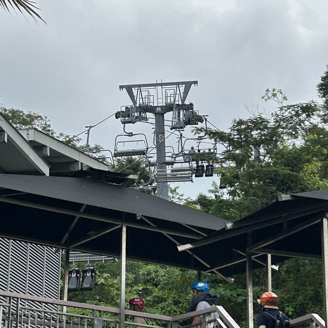 Sentosa Skyline Luge