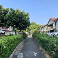 省府散策 🖌 帶你文青風玩中興新村🚲🛺