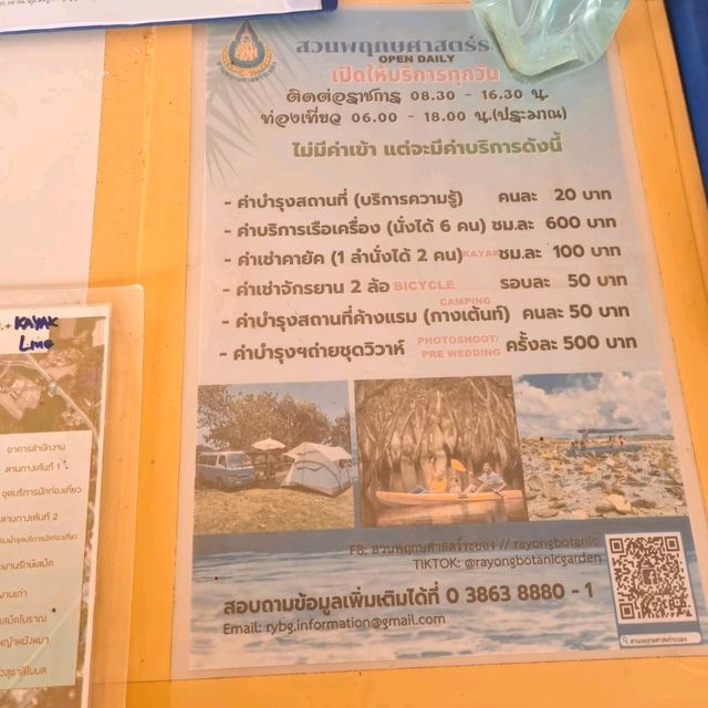 สวนพฤกษศาสตร์ระยอง พายคายัคชมธรรมชาติ 🐟🌳🌲