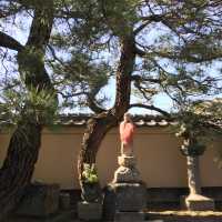 地蔵・仏像大集合【妙楽寺】