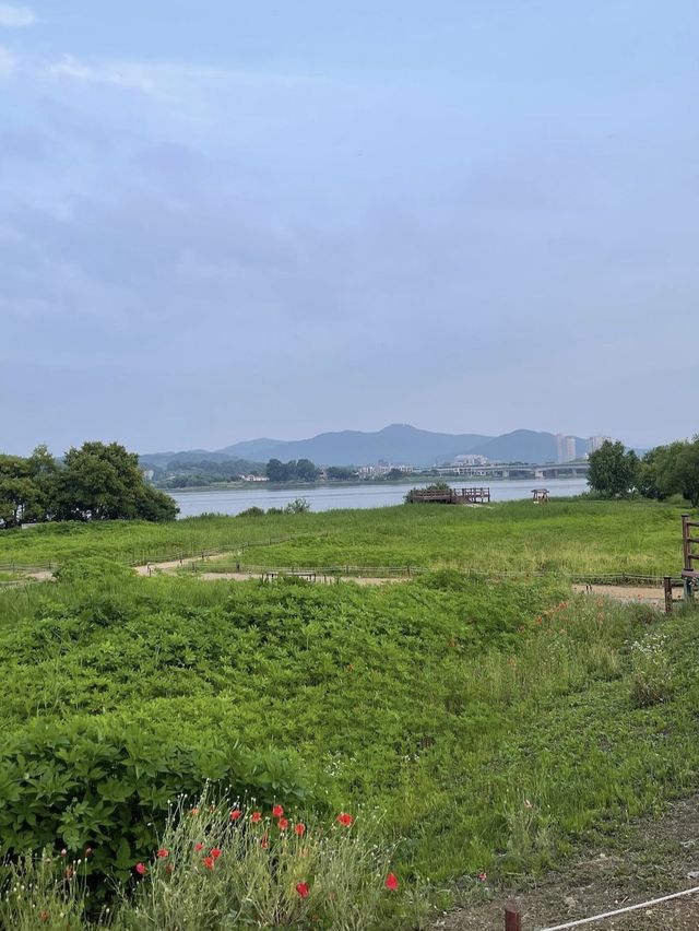 남양주 놀거리 추천♥️