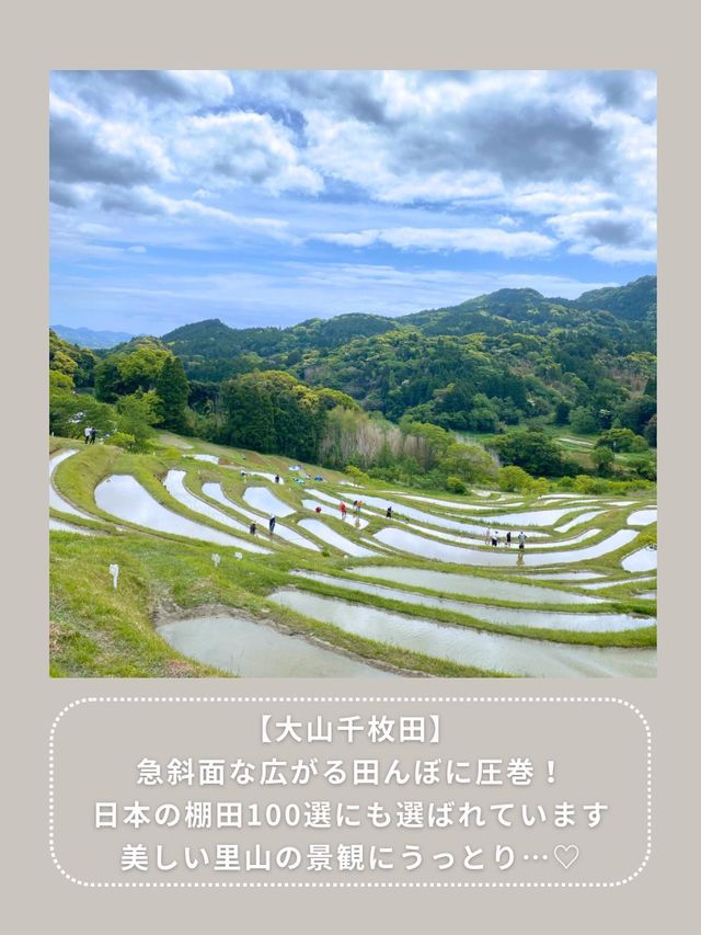 【千葉･南房総】おすすめのドライブスポット🚗