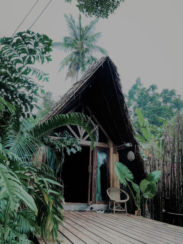 The Tropical Koh Mook 