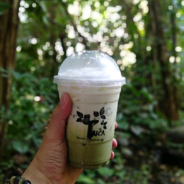 สวนป่าตากา อำเภอวังเจ้า