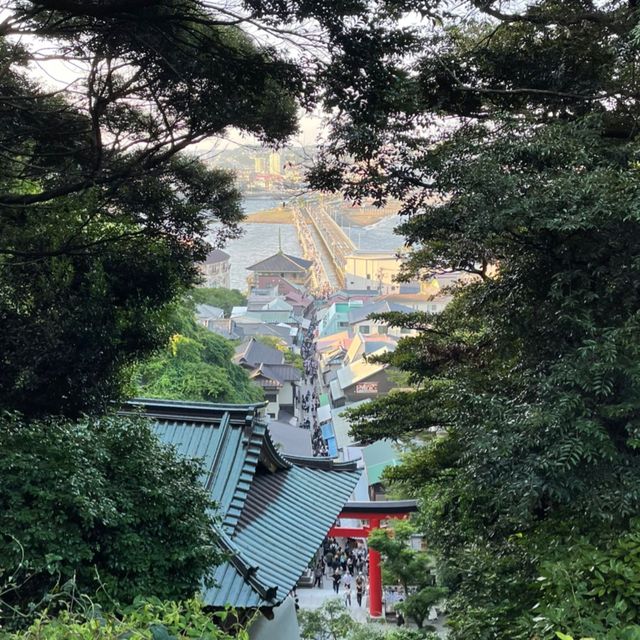 鐮倉與江之島一日遊