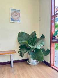 Flat White cafe ร้านคาเฟ่สไตล์มินิมอลน่านั่ง 