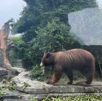 大人小孩都喜歡的神戶動物王國