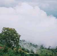 เที่ยวหน้าฝนที่ ภูทับเบิก จ.เพชรบูรณ์