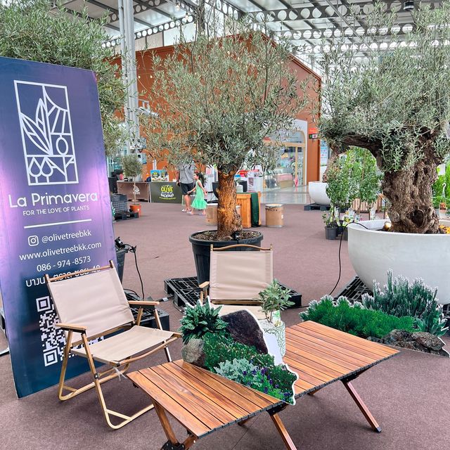งานOlive in your backyard @theninetiwanon