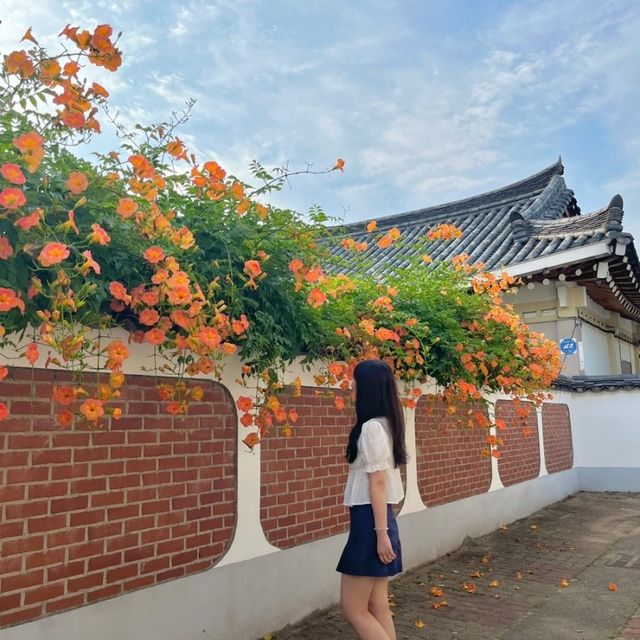 경주 황리단길 능소화스팟