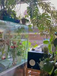 🌿 대전 은행동 감성가득 플랜테리어 카페 ‘코페부쉬’ 🌿