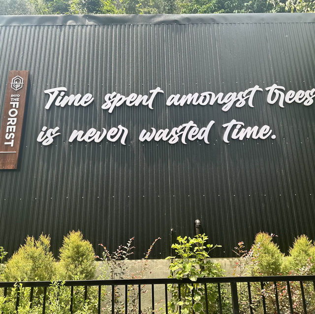 Into the forest คาเฟ่ในหุบเขา @กระบี่