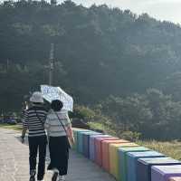 무지갯빛🌈 인생샷을 건질 수 있는 🚗 무지개해안도로