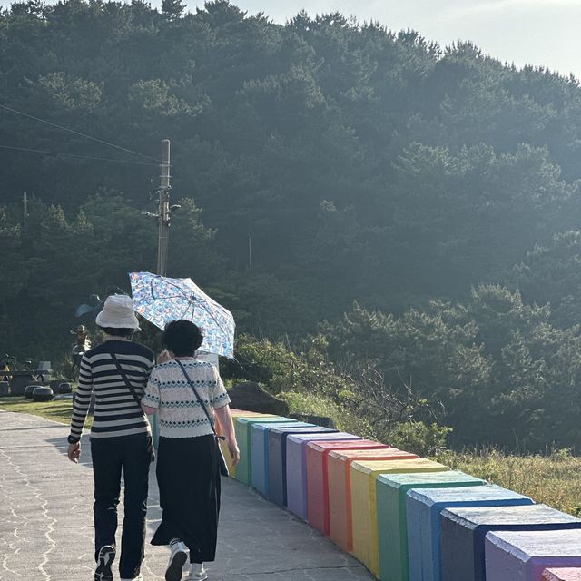 무지갯빛🌈 인생샷을 건질 수 있는 🚗 무지개해안도로