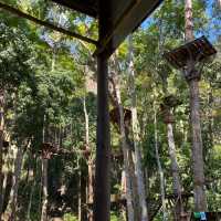 เล่น Zip Line ที่ Green Jungle Park