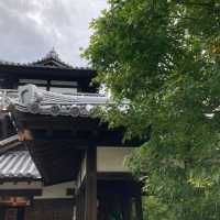 池田城跡は、凄い坂道と急な階段を登った先に有る…かなり体力が要るけど、登るかちが有る。